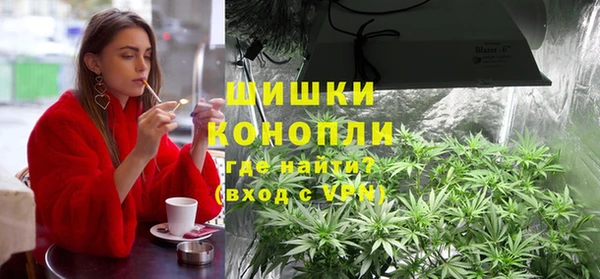 mix Богородицк