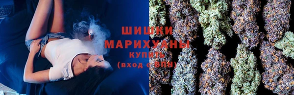 mix Богородицк